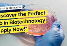 Discover the Perfect Job in Biotechnology – Apply Now at Syngene! "Discover the Perfect Job in Biotechnology - Apply Now!"