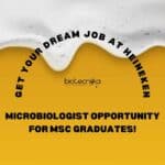 Heineken Hiring Microbiologist Opportunity