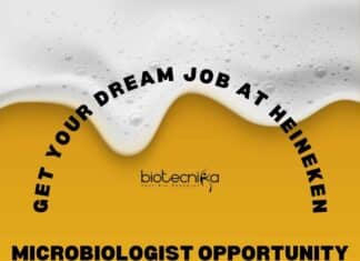Heineken Hiring Microbiologist Opportunity
