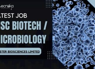 Msc Microbiology & Biotech Job