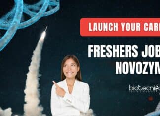 Novozymes Latest Freshers Job