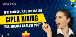 Cipla Msc Biotech Job