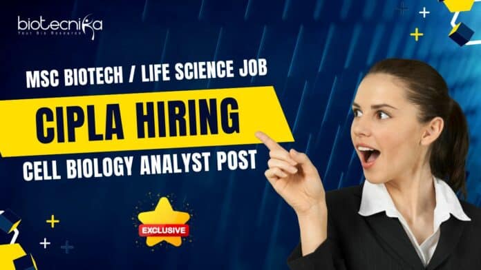 Cipla Msc Biotech Job