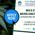 Multiple Research Posts