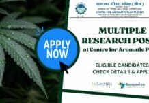 Multiple Research Posts
