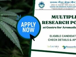 Multiple Research Posts