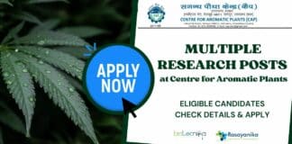 Multiple Research Posts