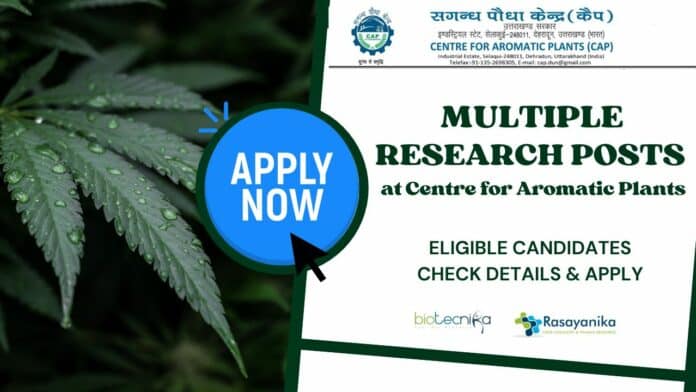 Multiple Research Posts