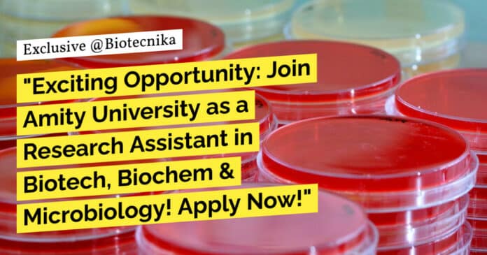 "Exciting Opportunity: Join Amity University as a Research Assistant in Biotech, Biochem & Microbiology! Apply Now!"
