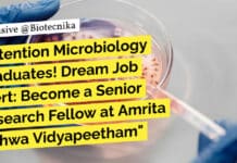Attention Microbiology Graduates! Amrita Vishwa Vidyapeetham Hiring MSc For SRF Role "Attention Microbiology Graduates! Dream Job Alert: Become a Senior Research Fellow at Amrita Vishwa Vidyapeetham"