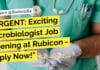 URGENT: Exciting Microbiologist Job Opening at Rubicon – Apply Now! "URGENT: Exciting Microbiologist Job Opening at Rubicon - Apply Now!"