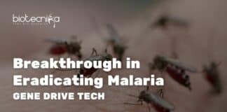 gene drive tech