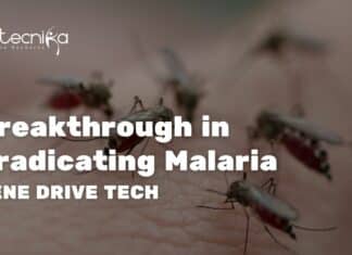 gene drive tech
