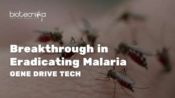 gene drive tech