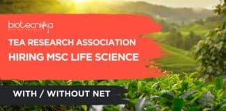 Msc Life Sciences Job