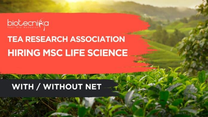 Msc Life Sciences Job