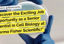 Discover the Exciting Job Opportunity as a Senior Scientist in Cell Biology at Thermo Fisher Scientific! "Discover the Exciting Job Opportunity as a Senior Scientist in Cell Biology at Thermo Fisher Scientific!"