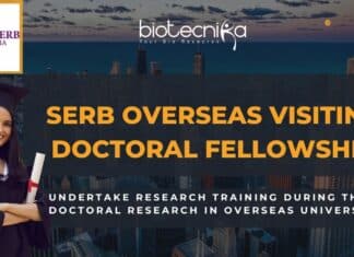 Overseas Visiting Doctoral Fellowship