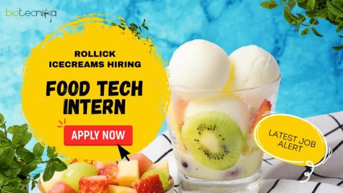 Food Tech Intern at Rollick