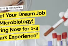 Get Your Dream Job in Microbiology! Hiring Now for 1-4 Years Experience "Get Your Dream Job in Microbiology! Hiring Now for 1-4 Years Experience"