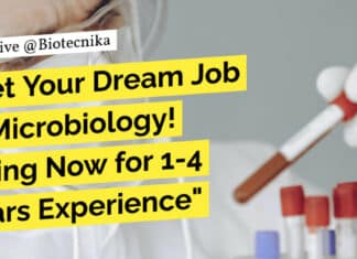 "Get Your Dream Job in Microbiology! Hiring Now for 1-4 Years Experience"