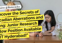 Biotech Job at IIT – Apply For JRF Post at IIT Hyderabad! "Uncover the Secrets of Circadian Aberrations and Aging: Junior Research Fellow Position Available at IIT Hyderabad!"