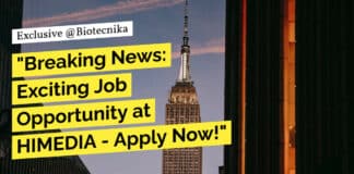"Breaking News: Exciting Job Opportunity at HIMEDIA - Apply Now!"