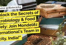 Mondelēz Microbiology & Food Safety Opportunity, Apply Online