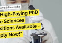 9 High-Paying PhD Life Sciences Positions Available at IBSD With Rs. 56,000 to 78,000 pm Pay – Apply Now! "9 High-Paying PhD Life Sciences Positions Available - Apply Now!"