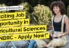 Exciting Job Opportunity in Agricultural Sciences at NBRC – Apply Now! "Exciting Job Opportunity in Agricultural Sciences at NBRC - Apply Now!"