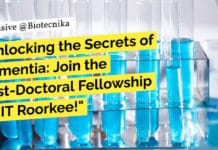 Post-Doctoral Fellowship at IIT Roorkee! PhD Life Sciences Eligible IIT Roorkee PhD Life Sciences Job - Applications Invited