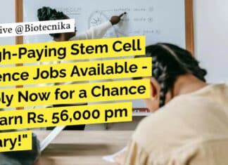 inStem Project Scientist Jobs