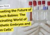 Unveiling the Future of Biotech Babies: The Fascinating World of Synthetic Embryos and Stem Cells "Unveiling the Future of Biotech Babies: The Fascinating World of Synthetic Embryos and Stem Cells"