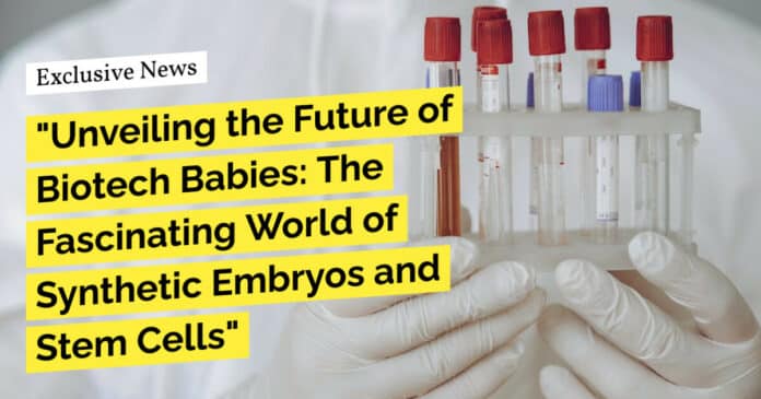 "Unveiling the Future of Biotech Babies: The Fascinating World of Synthetic Embryos and Stem Cells"