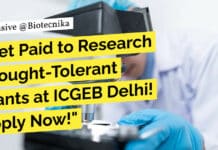 "Get Paid to Research Drought-Tolerant Plants at ICGEB Delhi! Apply Now!"