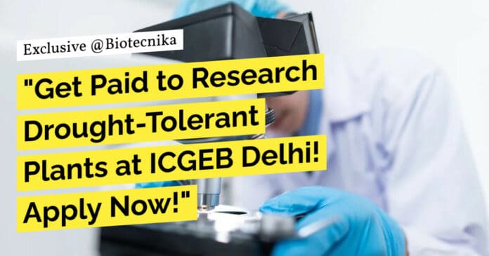 "Get Paid to Research Drought-Tolerant Plants at ICGEB Delhi! Apply Now!"