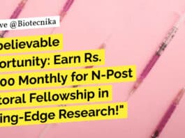 "Unbelievable Opportunity: Earn Rs. 80,000 Monthly for N-Post Doctoral Fellowship in Cutting-Edge Research!"