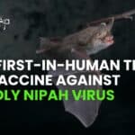 First in-Human Trial of Nipah Virus Vaccine