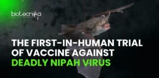 First in-Human Trial of Nipah Virus Vaccine