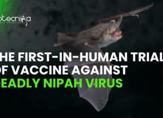 First in-Human Trial of Nipah Virus Vaccine