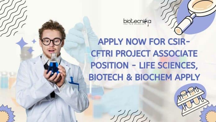 CSIR-CFTRI Biotech Project Associate Job
