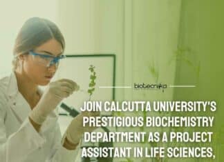 Calcutta University PA Recruitment