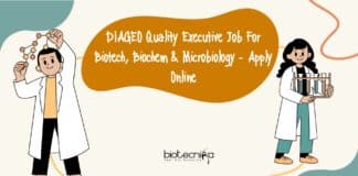 DIAGEO Quality Executive Job