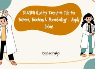 DIAGEO Quality Executive Job