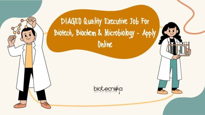 DIAGEO Quality Executive Job