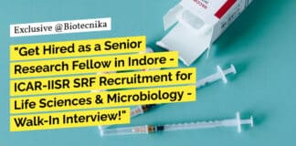 "Get Hired as a Senior Research Fellow in Indore - ICAR-IISR SRF Recruitment for Life Sciences & Microbiology - Walk-In Interview!"