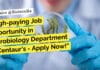 High-paying Job Opportunity in Microbiology Department at Centaur’s – Apply Now! "High-paying Job Opportunity in Microbiology Department at Centaur's - Apply Now!"