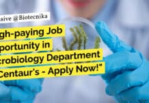 "High-paying Job Opportunity in Microbiology Department at Centaur's - Apply Now!"