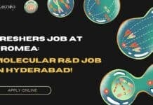 Freshers Job at Promea