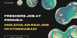 Freshers Job at Promea